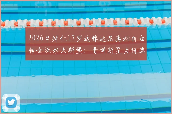 2026年拜仁17岁边锋达尼奥科自由转会沃尔夫斯堡：青训新星为何选择狼堡？球员资料深度解读