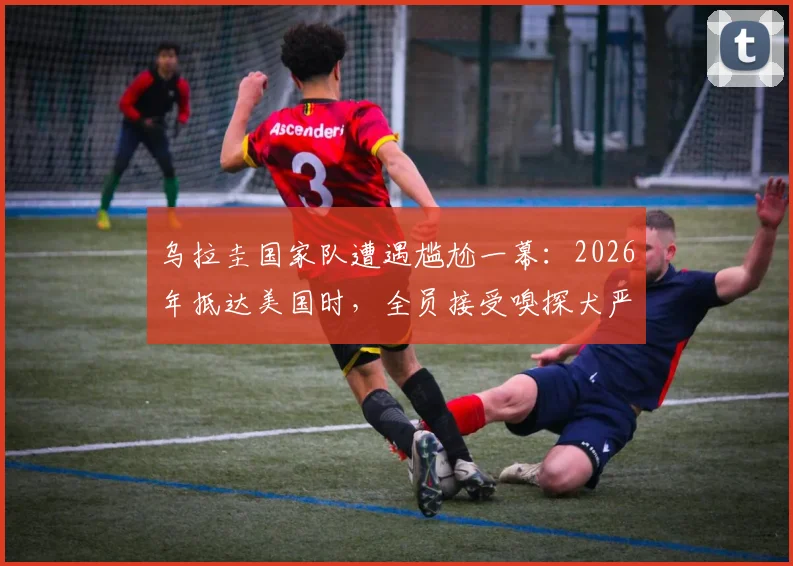 乌拉圭国家队遭遇尴尬一幕:2026年抵达美国时,全员接受嗅探犬严格安检流程实录