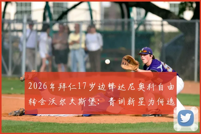 2026年拜仁17岁边锋达尼奥科自由转会沃尔夫斯堡:青训新星为何选择狼堡?球员资料深度解读